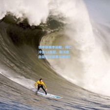 德甲新赛季前瞻，拜仁冲击12连冠，勒沃库森能否延续黑马神话？