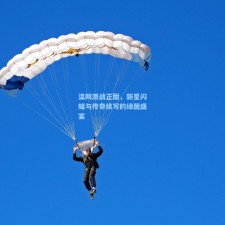 温网激战正酣，新星闪耀与传奇续写的绿茵盛宴