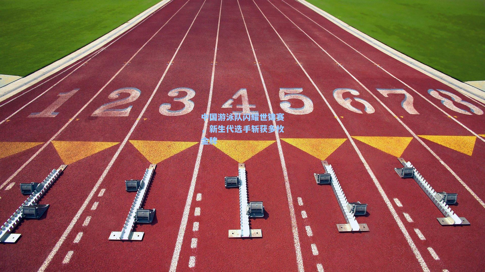 中国游泳队闪耀世锦赛，新生代选手斩获多枚金牌  第2张
